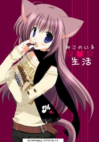 sakura's album prima poza