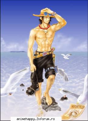 Galerie foto - ewwa - One Piece